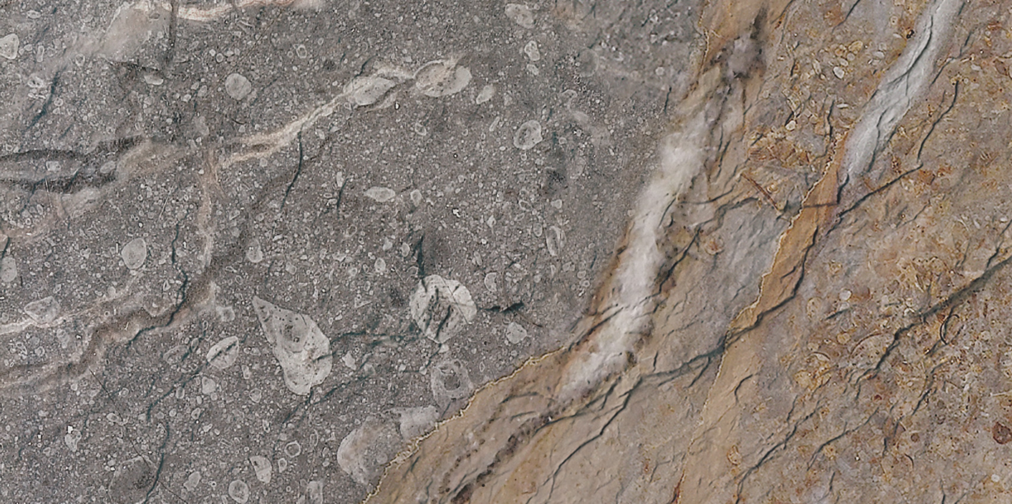 eDisplay Curtain Marble Andes Gold